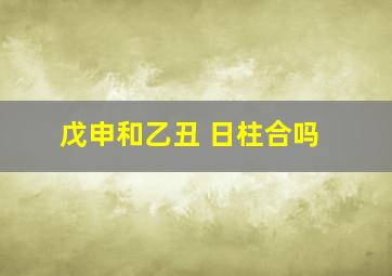 戊申和乙丑 日柱合吗